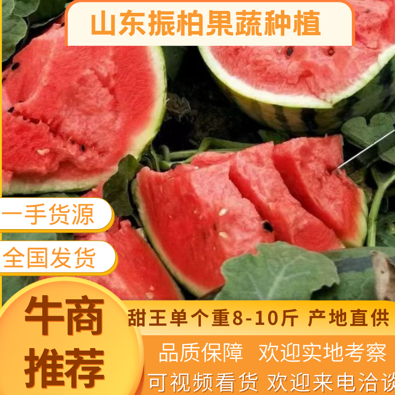 【新客立减】甜王西瓜瓜甜皮薄单重8-10斤全国发货来电-