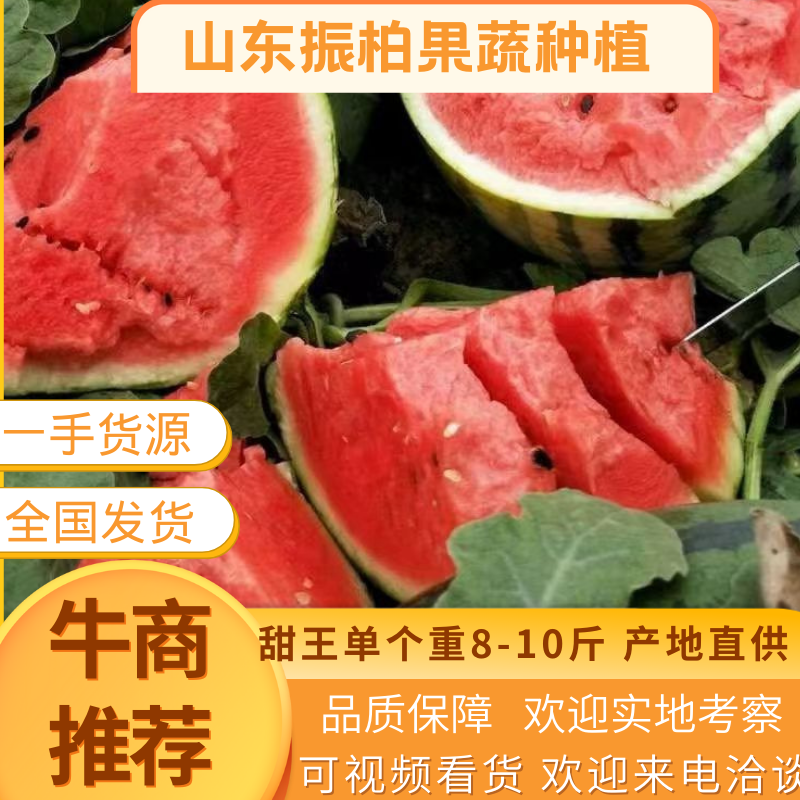 [甜王西瓜批发]山东临沂沂水县西瓜 0.50元/斤【新客立减】甜 _ 一亩田