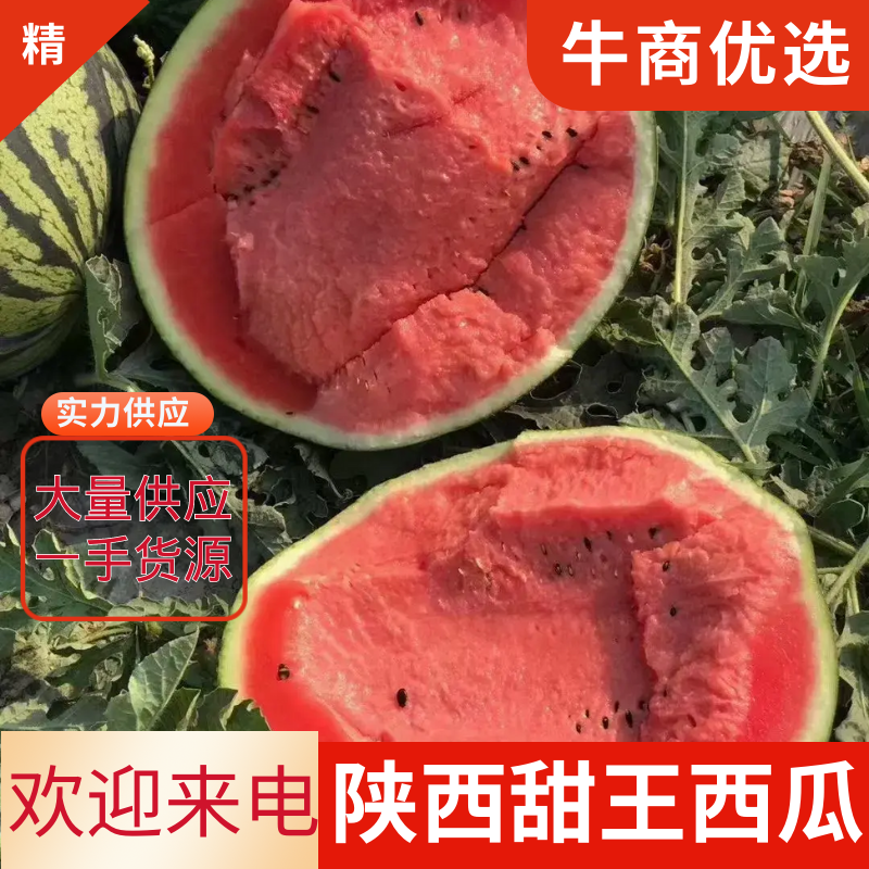热销中陕西西瓜甜王西瓜大量上市中质量三包
