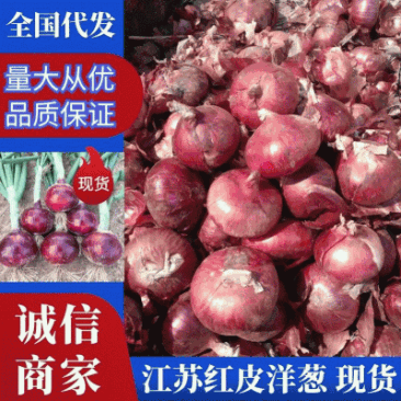 《诚信商家》红皮洋葱7公分以上产地直发保质保量全国代发