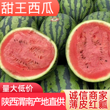 陕西西瓜，甜王西瓜/量大价优，全国代发，一手货源