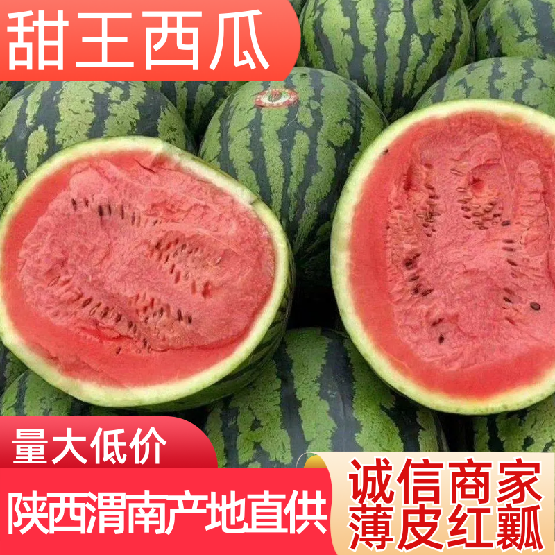 陕西西瓜，甜王西瓜/量大价优，全国代发，一手货源