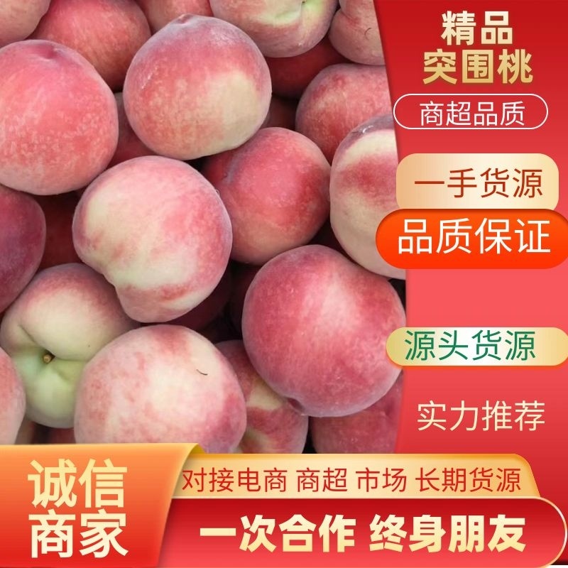 【安徽】蜜桃水蜜桃产地直供颜色好口感脆甜大量上货