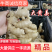 山东大黄姜。山东生姜万亩种植基地。水洗姜，带土姜。