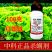 40%联肼螺螨酯联苯肼酯苹果柑橘抗性红蜘蛛专用杀虫杀螨剂