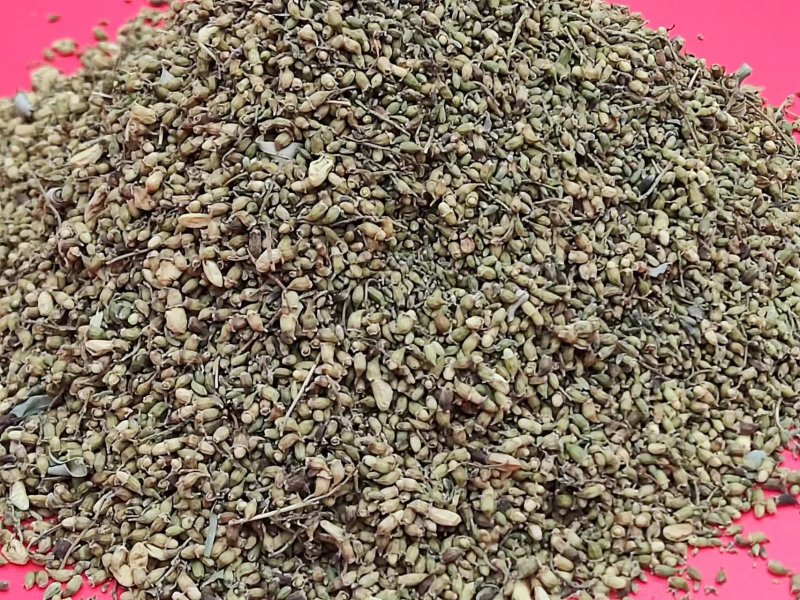 槐米精品出货，全国供货，提前预定，量大从优，期待与你共赢！