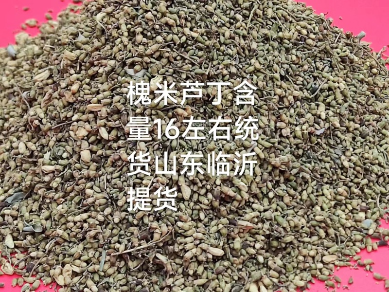 槐米精品出货，全国供货，提前预定，量大从优，期待与你共赢！
