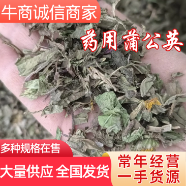 药用蒲公英，常年经营中药材，一手货源，全国发货，精品