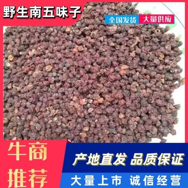五味子野生南五味子，颗粒好无杂质水煮货自然晒干。