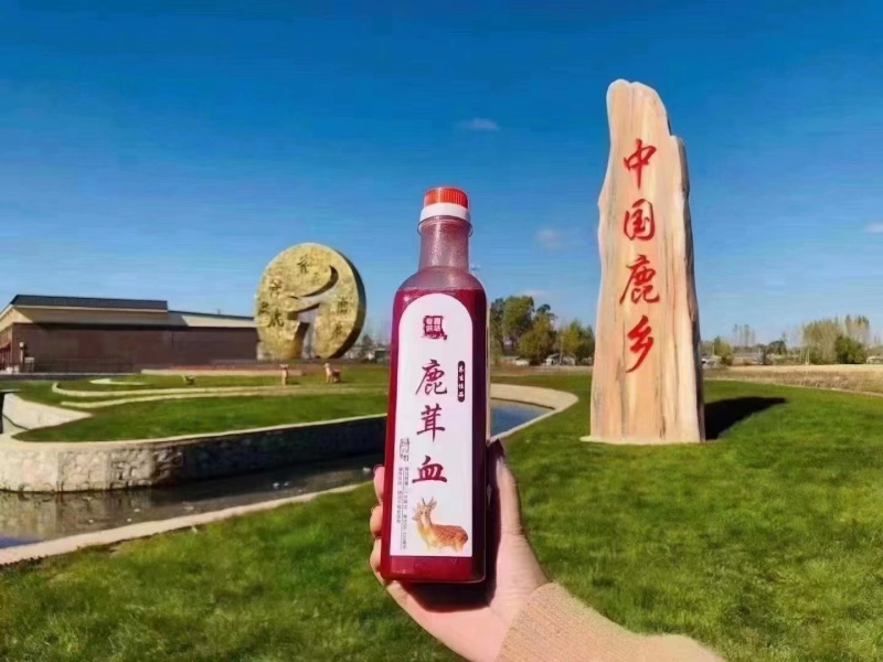 中药材鹿茸精品鹿茸片鹿茸血鹿茸肉欢迎咨询