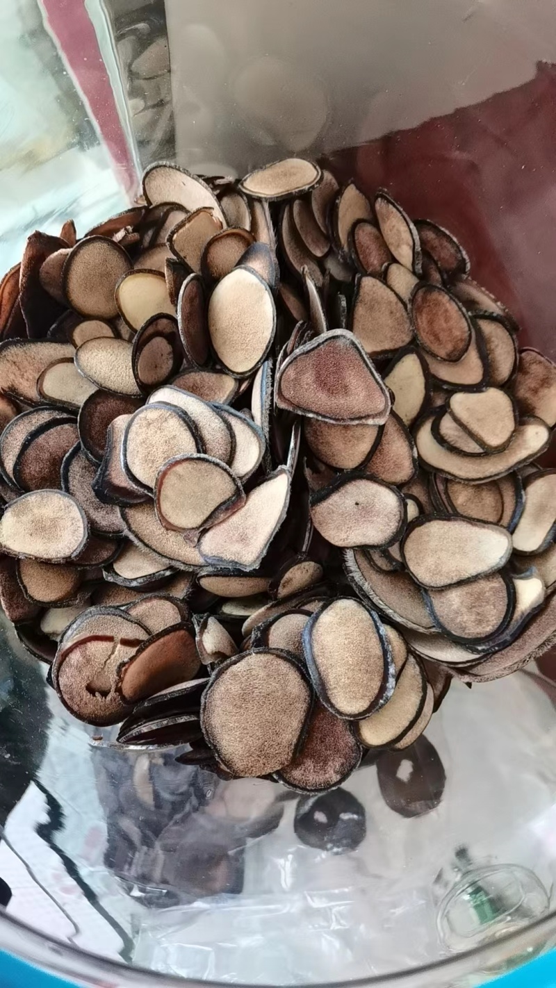 中药材鹿茸精品鹿茸片鹿茸血鹿茸肉欢迎咨询