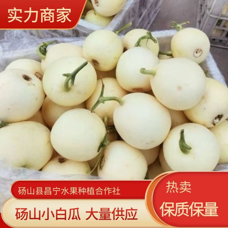 砀山小白瓜小甜瓜白莎蜜，大量供应产地直供全国代发