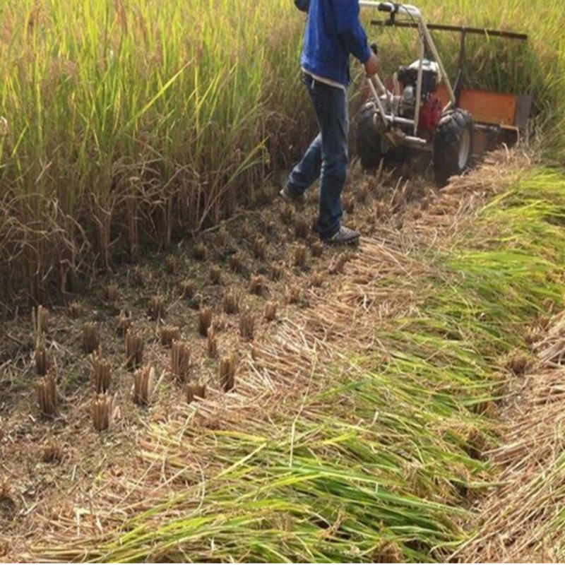 厂家批发牧草紫花苜蓿割倒艾草收割机宽幅手扶式稻麦割晒机