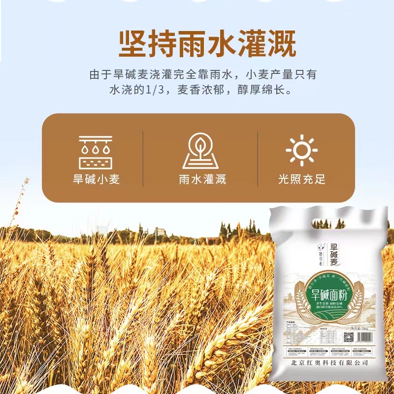 黄骅旱碱麦面粉厂家直供一手货源品质保证诚信经营欢迎采购