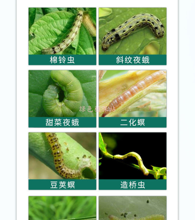 甲维虫螨腈虱螨脲菜青虫小菜蛾钻心虫食心卷叶螟潜叶蛾杀虫剂