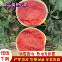 【推荐】山西夏县精品美都西瓜大量上市质量保证等您来电