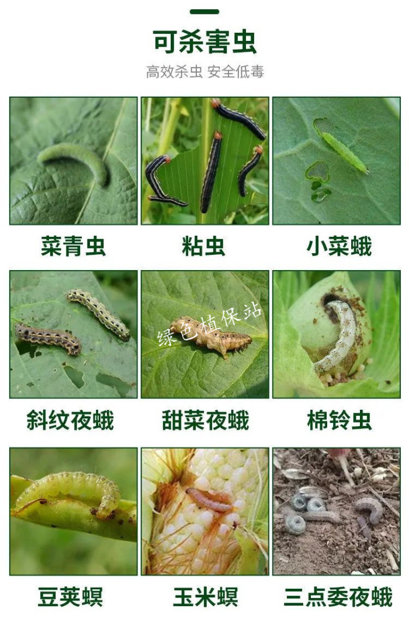 12%甲维虫螨腈玉米钻心虫果树蔬菜夜蛾菜青虫甲维盐杀虫剂