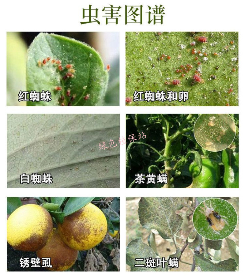 43%联苯肼酯杀虫剂红蜘蛛专用叶螨茶黄螨锈壁虱虫卵双杀