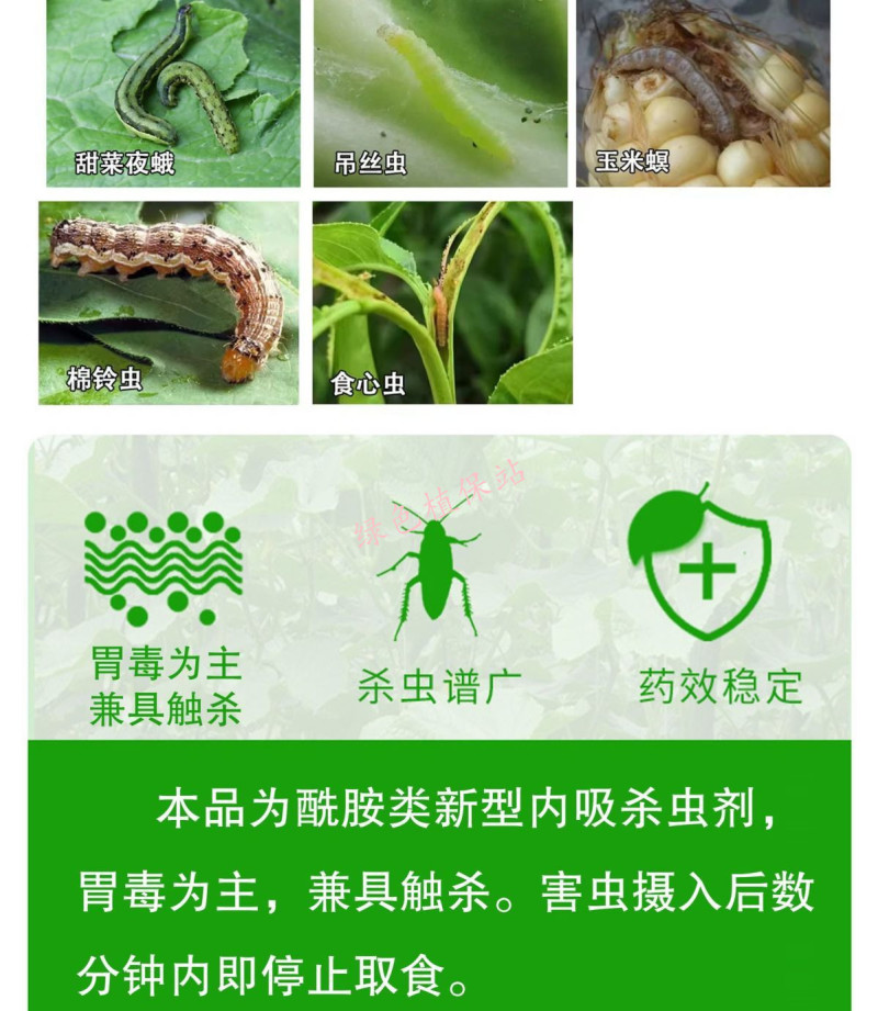 氯虫苯甲酰胺水稻蔬菜菜青虫钻心虫卷叶螟玉米螟农药杀虫剂