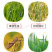 甲维·虫螨腈虱螨脲菜青虫吊丝虫钻心虫小菜蛾蔬菜果树杀虫剂