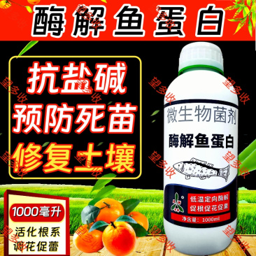 奥丰酶解鱼蛋白叶面肥生根壮苗促花促果防冻解药害