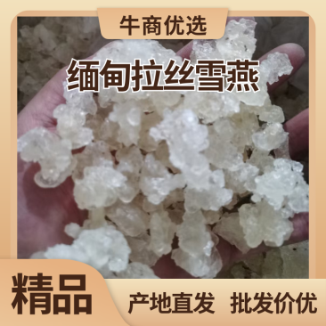 【精品雪燕】缅甸拉丝雪燕产地批发一手货源价格美丽荐