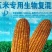 厂家直供玉米专用肥苞谷生物复混肥长效复合肥抗倒伏促生根