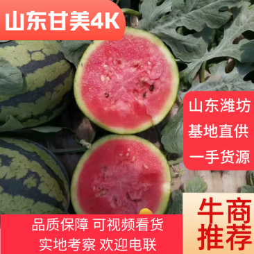 甘美4k大量供应，产地直发一手货源，可视频看货