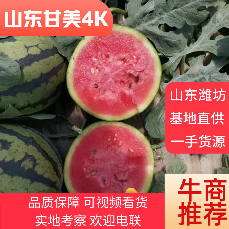 甘美4k大量供应，产地直发一手货源，可视频看货