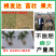 周天35%花生专用生物复混肥防重茬复合肥长效肥料40kg