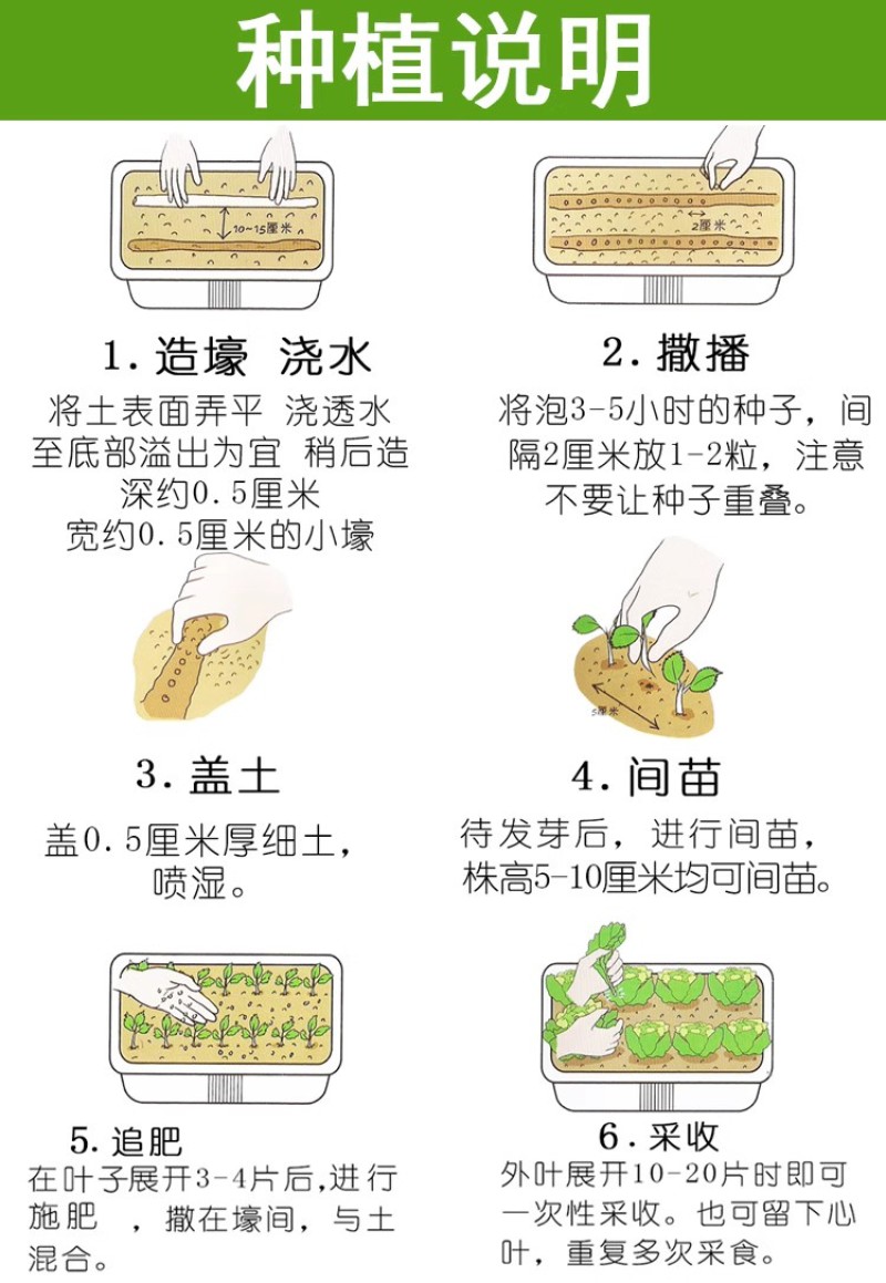 金花葵种子蔬菜种籽菜芙蓉野芙蓉秋葵食用花卉观赏美观庭园菜