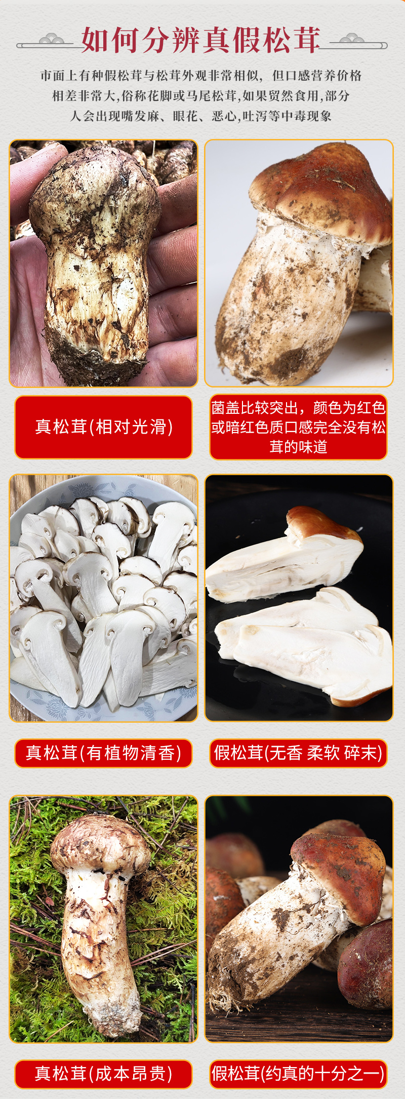 新鲜松茸，产地直发，质量保障。量大从优，对接全国，欢迎