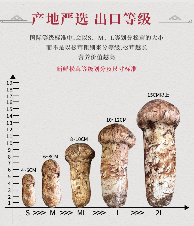 新鲜松茸，产地直发，质量保障。量大从优，对接全国，欢迎