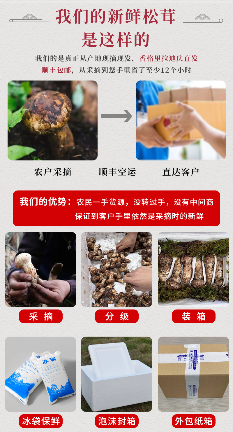 新鲜松茸，产地直发，质量保障。量大从优，对接全国，欢迎