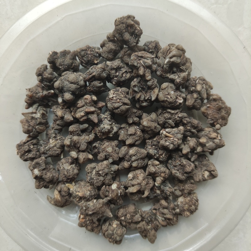 猫爪草新货野生水洗猫爪草干净无杂质批发供应猫抓草