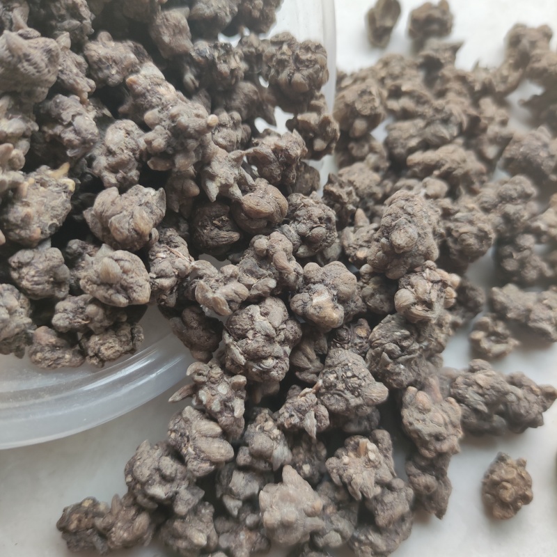 猫爪草新货野生水洗猫爪草干净无杂质批发供应猫抓草