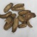 牛蒡根炒牛蒡根无硫道地药材保证质量中药材批发