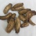 牛蒡根炒牛蒡根无硫道地药材保证质量中药材批发