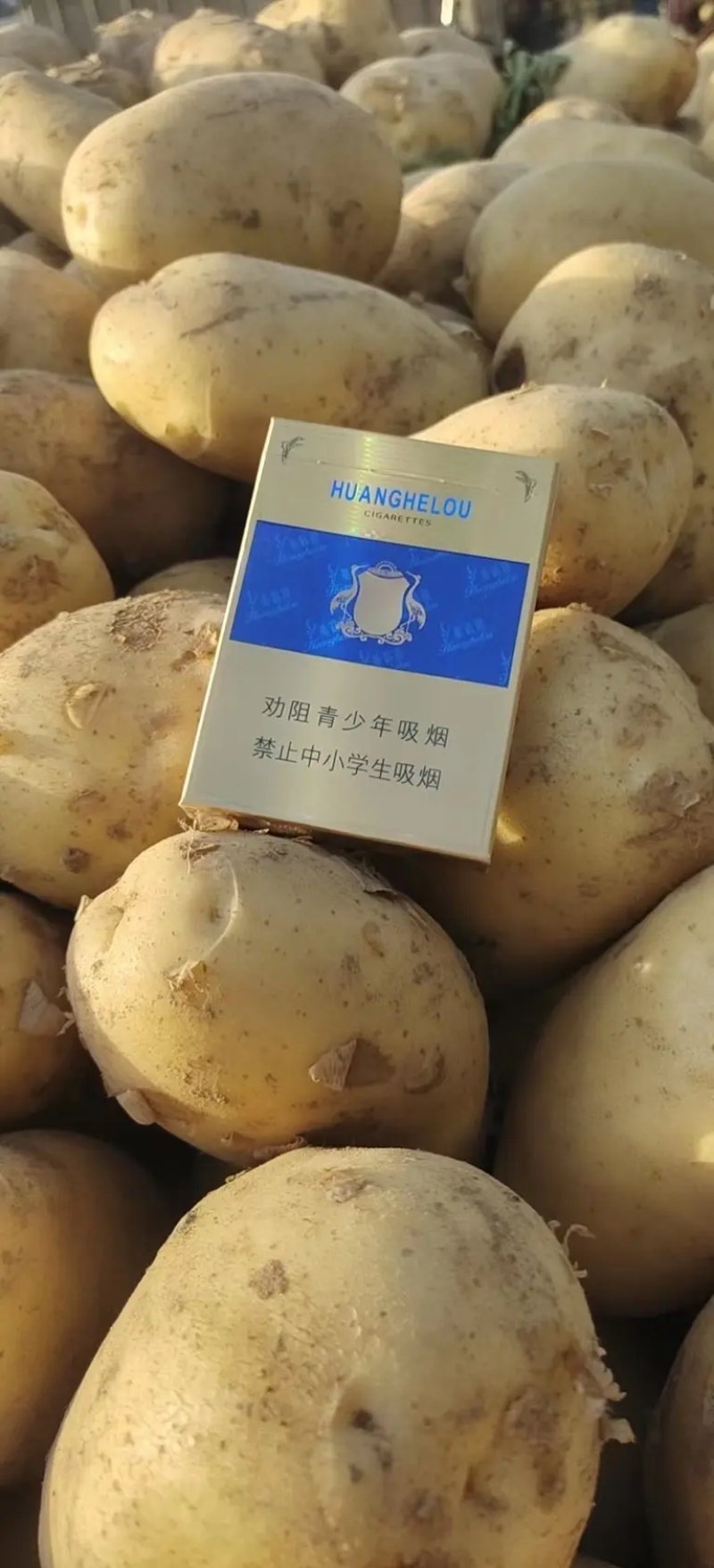 内蒙精品v7沃土等品种齐全供应各大市场电商商超