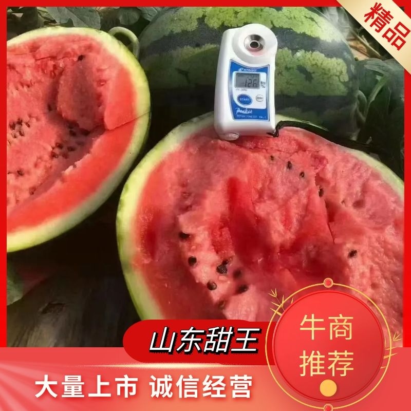 山东省安丘市岭地脆瓤口大棚山东甜王大量上市中
