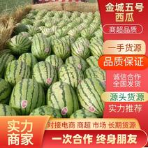 【热卖】新疆西瓜，金城五号包熟包甜品质保证全国发货