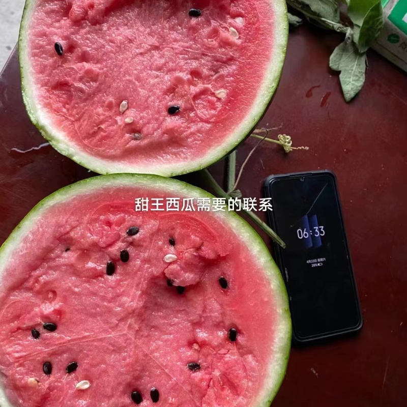 推荐甜王西瓜产地直供质量保证代发全国价格优惠欢迎联系