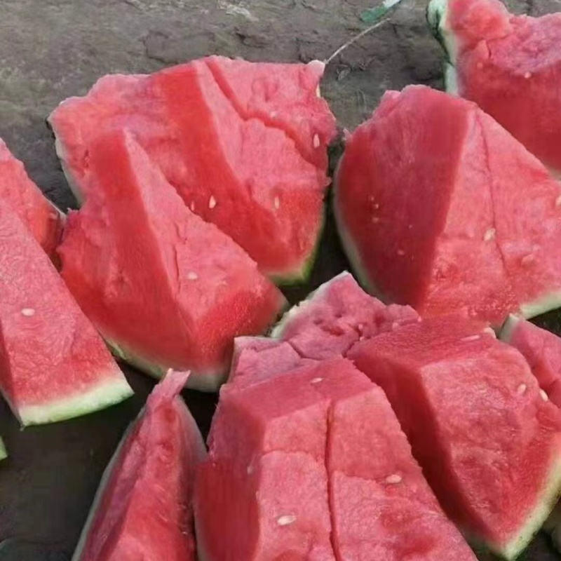 推荐甜王西瓜产地直供质量保证代发全国价格优惠欢迎联系