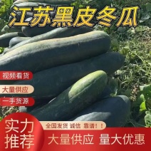 黑皮冬瓜江苏地冬瓜超市货电商货量大从优对接各大商超欢迎