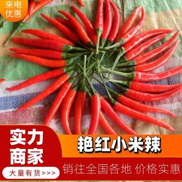 【量大从优】艳红小米辣椒，大量供应产地直发，实力服务客商