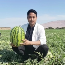 【西瓜】优质甜王西瓜产地直发无中间商可视频看货
