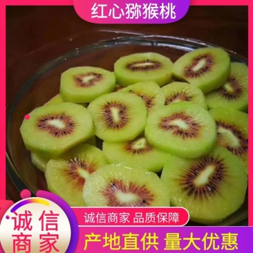 猕猴桃湘西红心猕猴桃上市对接电商超市批发等