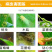 5%高效氯氟氰菊酯水乳剂甘蓝菜青虫杀虫剂蚜虫食心虫地蛆