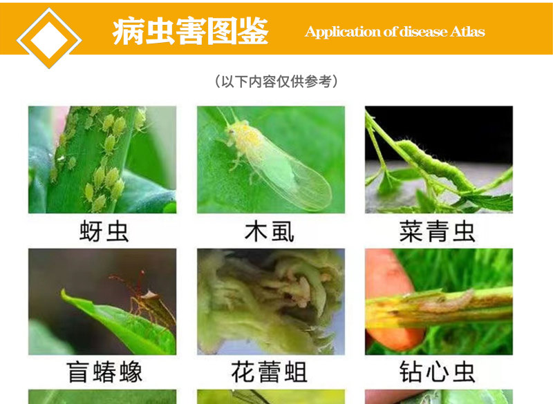 5%高效氯氟氰菊酯水乳剂甘蓝菜青虫杀虫剂蚜虫食心虫地蛆
