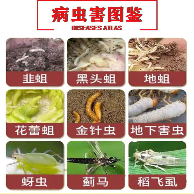 48%噻虫胺高含量悬浮剂防治水稻稻飞虱杀虫剂地上地下害虫